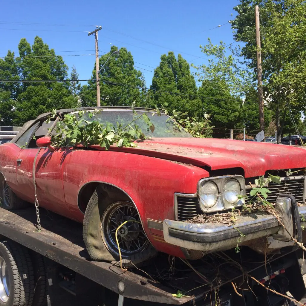 looking to scrap my car for cash near me in the Lower Mainland Look no further than Junk Car Towing We provide convenient Scrap Car Removal overgrown, abandoned red convertible car with vegetation sprouting from its body, awaiting scrap car removal on a flatbed trailer.