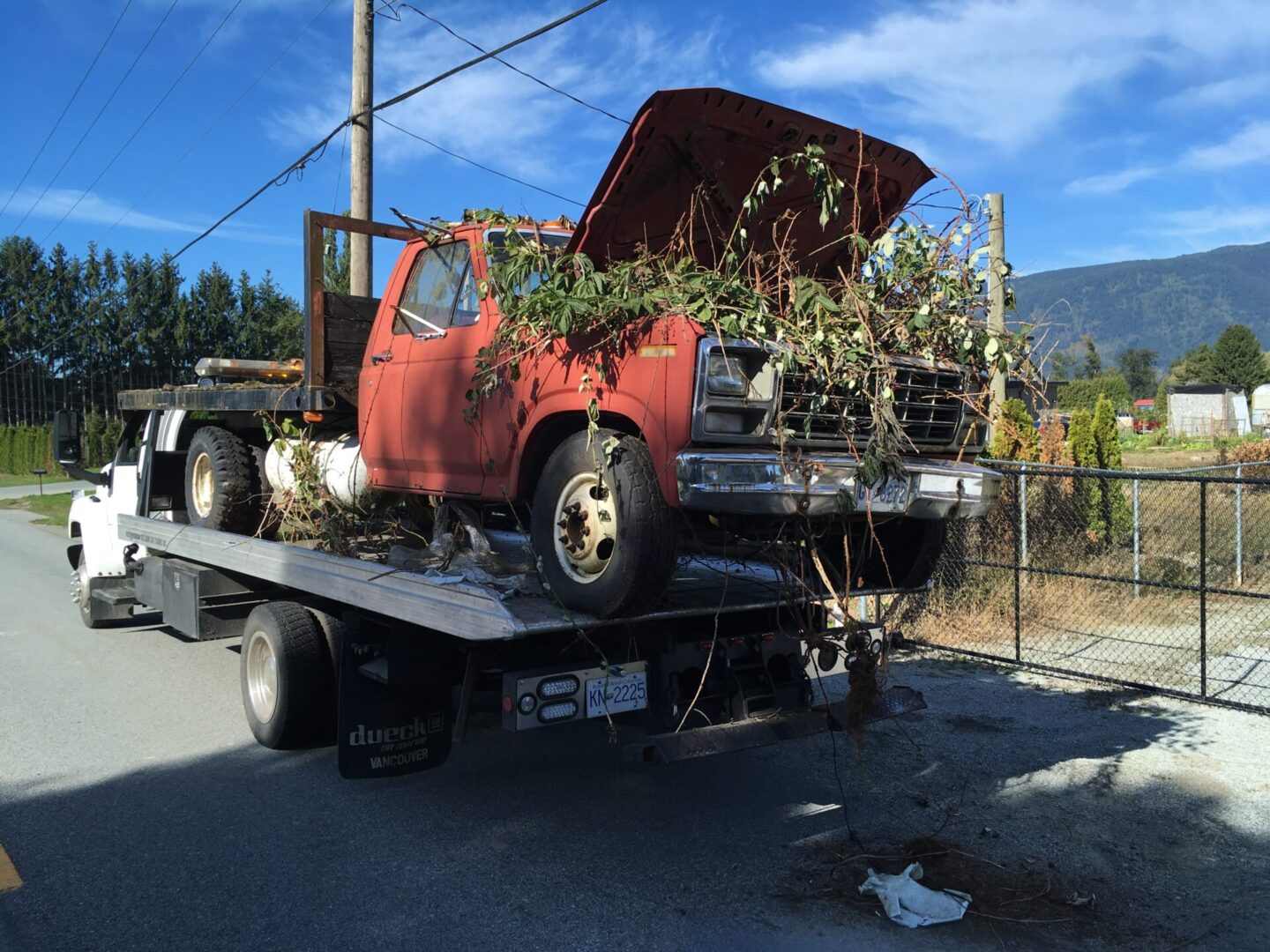 An old red truck, ready for scrap car removal, with an open hood and branches in its bed, loaded onto a flatbed tow truck.